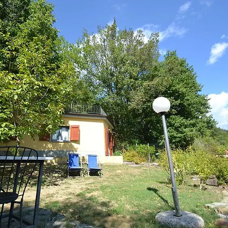 Quercia 1 Gattaia